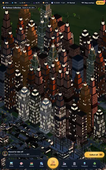 The city at night